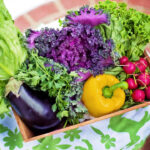 سبزیجات کم کربوهیدرات