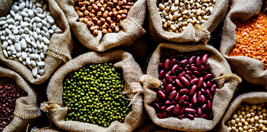 با مصرف فیبر بیشتر گرسنه نمی مانید