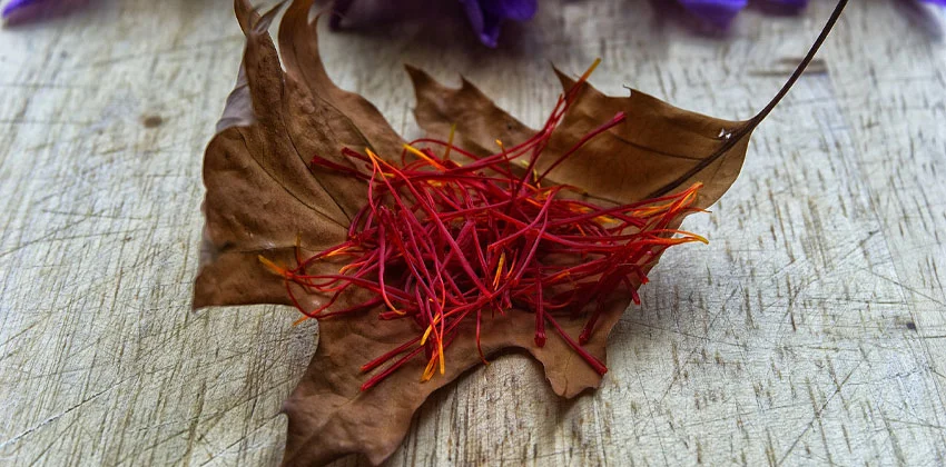 زعفران یک دمنوش قوی کم کننده اشتها قبل از غذا است
